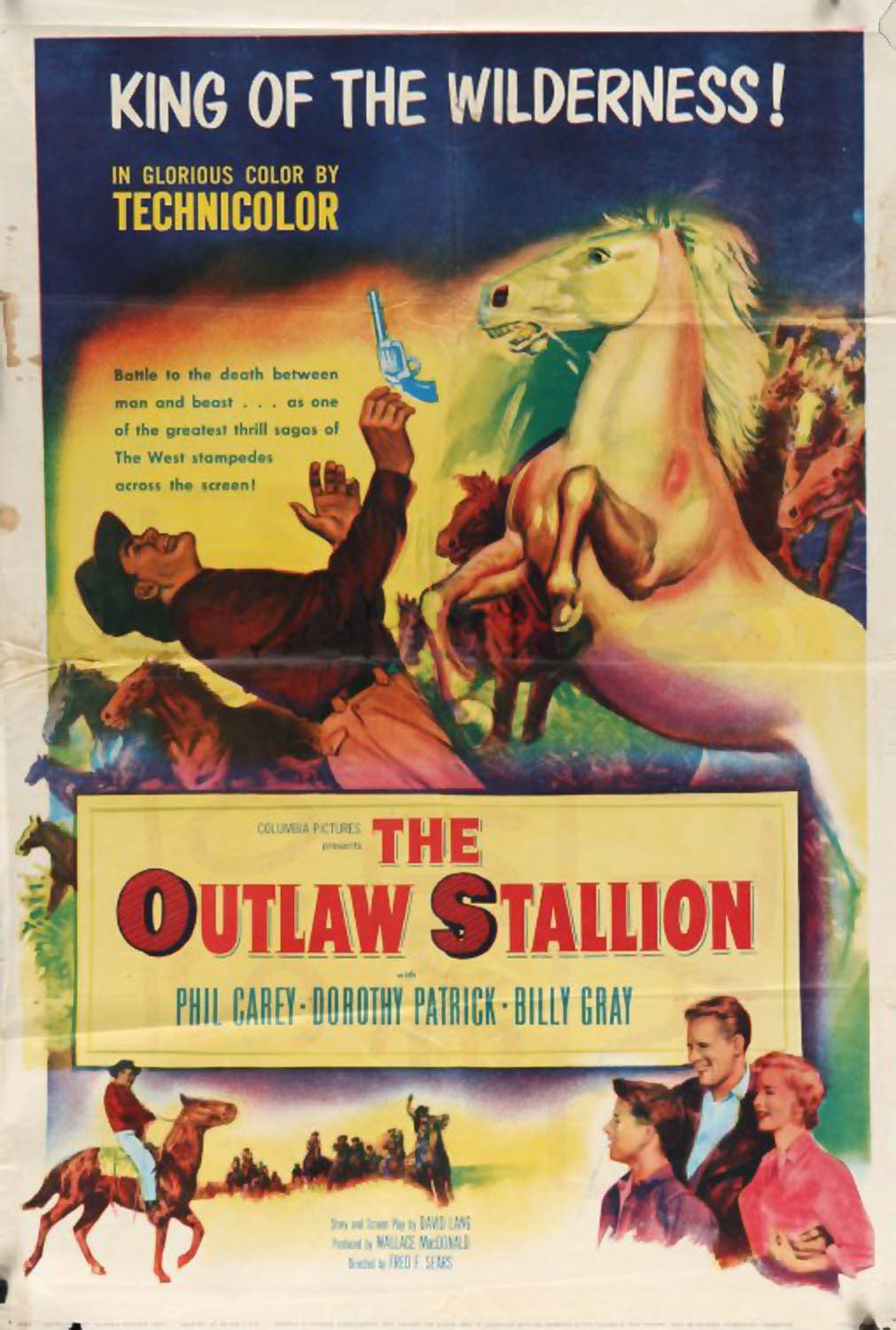 OUTLAW STALLION, THE